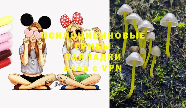 каннабис Алзамай