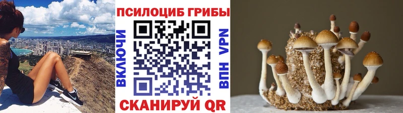 Псилоцибиновые грибы GOLDEN TEACHER  Электрогорск 