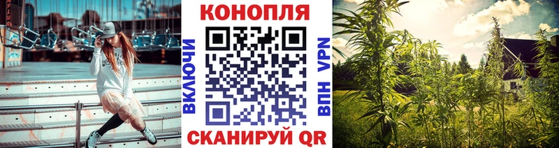 где можно купить   Электрогорск  Шишки марихуана планчик 